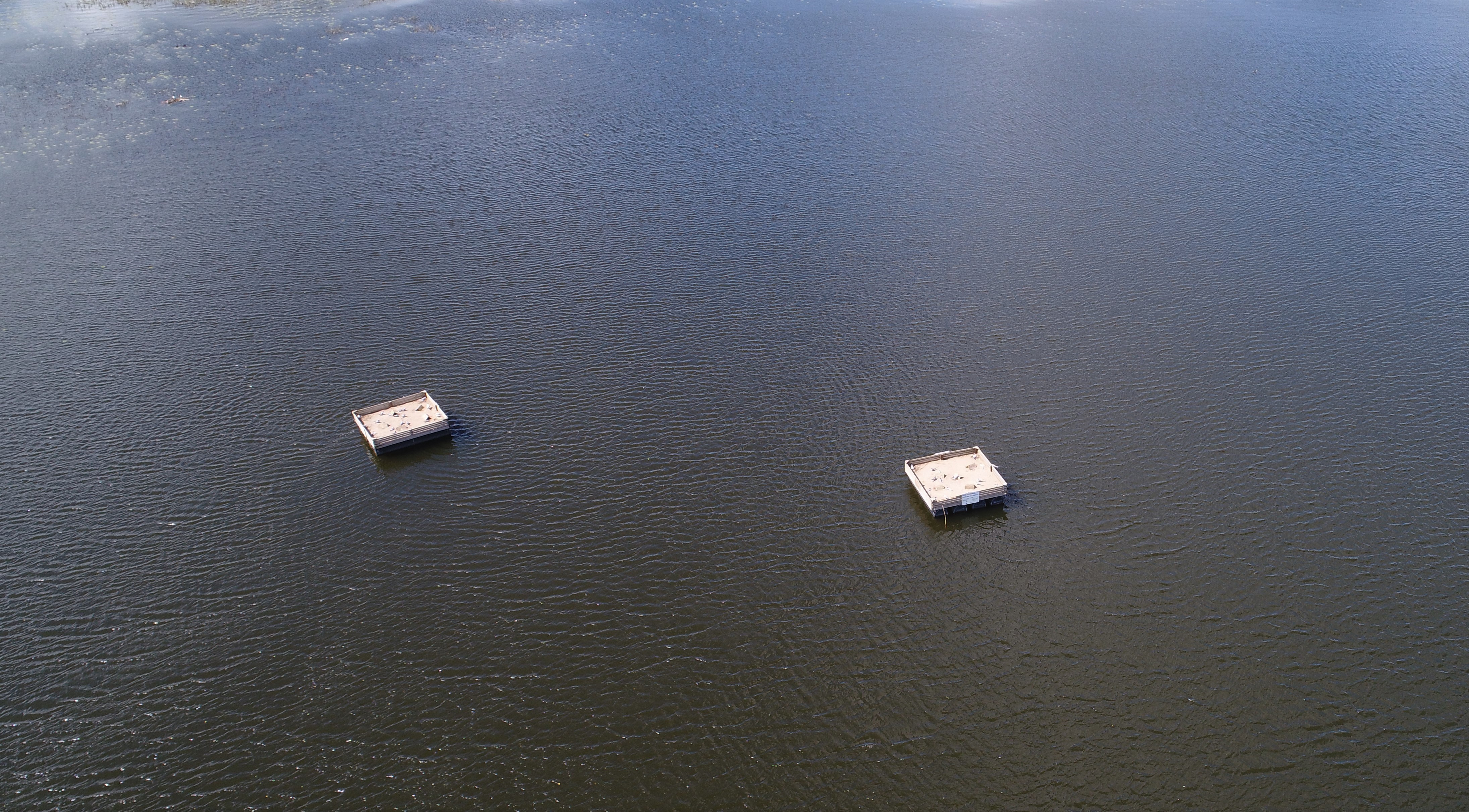 DJI_0353